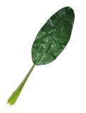 Bananenblatt 90cm